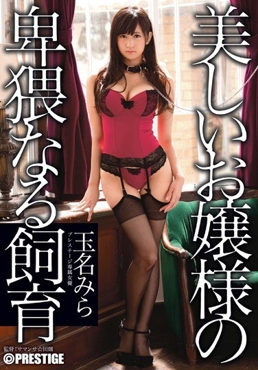 Breeding Tamana Yoshihadaka A Beautiful Young Lady Of Obscene - Poster