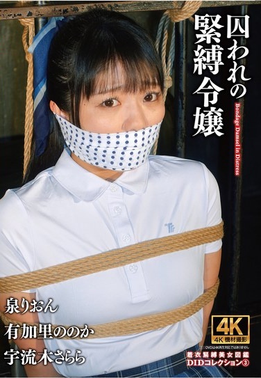 囚われの緊縛令嬢 DIDコレクション3 - Poster