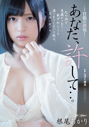 Forgive Me... Sensational Fortune Akari Neo - Poster