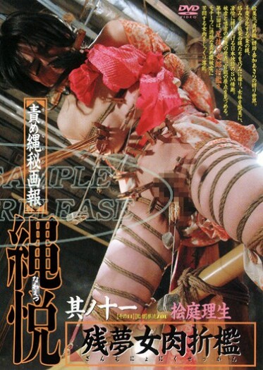 Roh Meat Chastisement Woman Zanmu Eleven Of Yue Rope Rope Torture Secret Technique - Poster