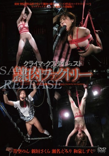 Slave Meat Climber Disk Factory ~Tsu Digest - Poster