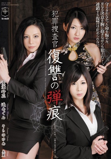 Megumi Haruka Love Reika Kiyoshi Empty Dream Of Revenge Bullet Holes Criminal Investigator - Poster