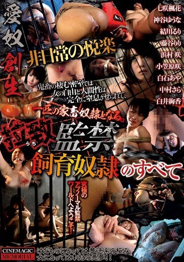 愛奴創生 非日常の悦楽 拉致監禁飼育奴隷のすべて - Poster