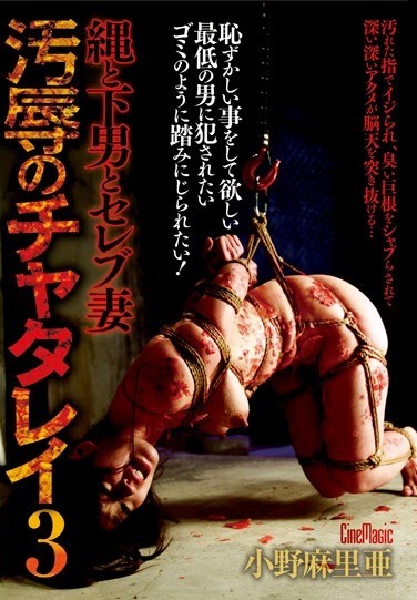 Mari Ono Chatterley Three Variants Of Attainder And Celebrity Wife And Servants Rope - Poster