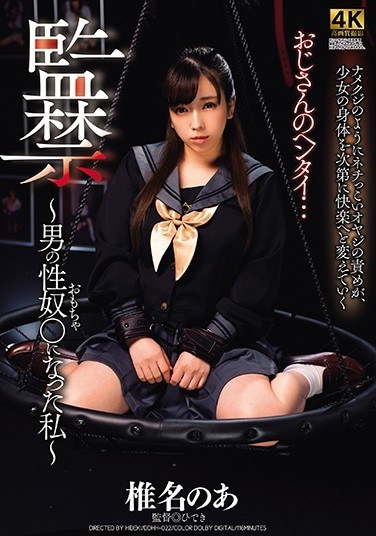 Confinement-I Became A Male Sex Slave-Ah Shiina - Poster