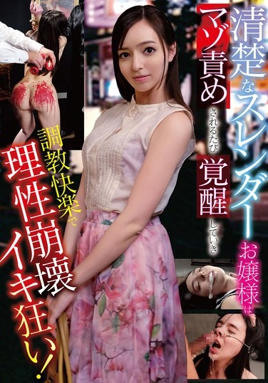 This Pure And Slender Young Lady Awakens Every Time She Is Tortured By A Masochist, And Loses Her Mind And Goes Crazy With Pleasure! Nishida Karina - Poster