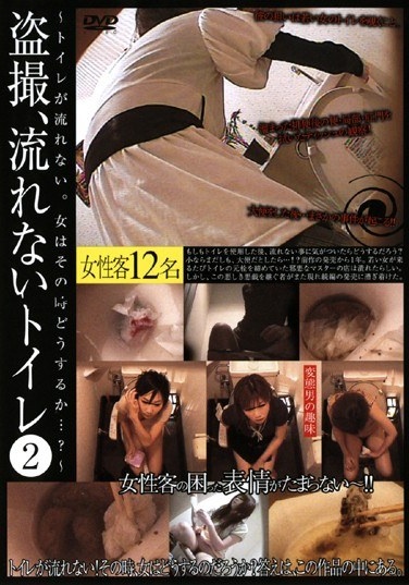 2 Toilet Voyeur, Not Flow - Poster