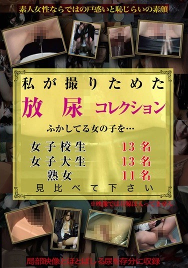 私が撮りためた放尿コレクション - Poster