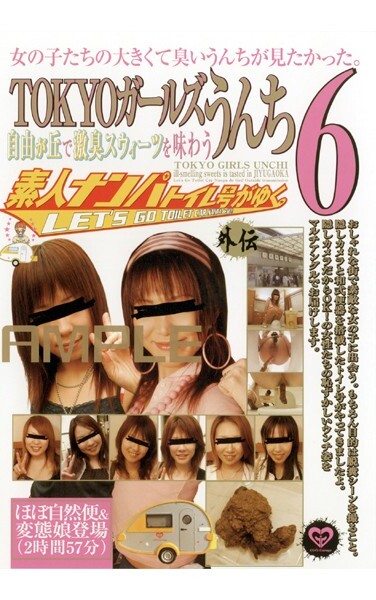 TOKYO Poo Girl 6. No. Gaiden Yuku Nampa Toilet Amateur - Poster