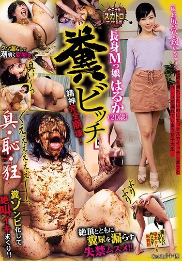 Feces Bitch Tall M Girl Haruka (20 Years Old) - Poster