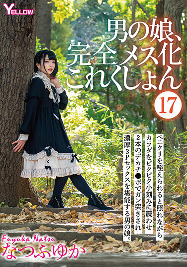 Otokonoko, Completely Female Collection (17) Natsufu Yuka - Poster