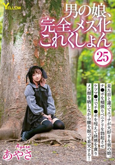 Man's Daughter, Complete Female Collection 25 Ayasa - Poster