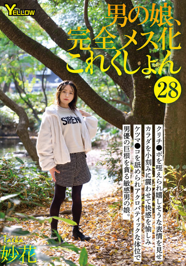 Otokonoko, Completely Feminized Collection 28 Myoka - Poster