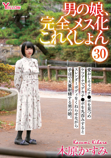 Man's Daughter, Completely Female Collection 30 Kasumi Kihara - Poster