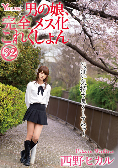 Man's Daughter, Complete Female Collection 32 Hikaru Nishino - Poster