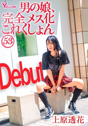 男の娘、完全メス化これくしょん53 上原透花 - Poster