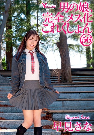 Crossdressing Boys, Complete Feminization Collection 56: Sana Hayami - Poster