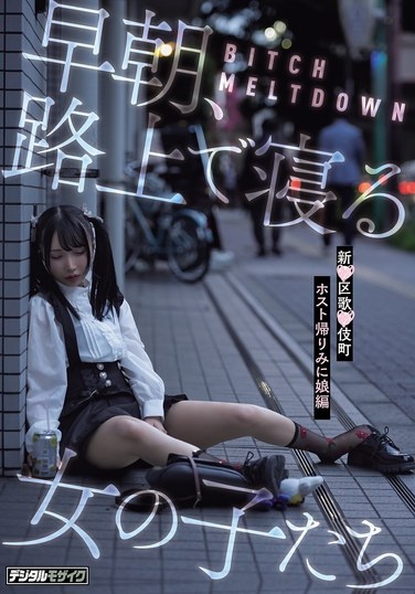 BITCH MELTDOWN Early Morning: Girls Sleeping On The Streets - The Host's Return From Kabukicho, Shinku - Poster