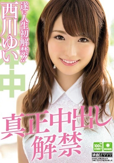 Pies Authenticity Ban Nishikawa Yui - Poster