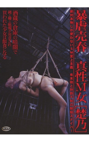 M Intrinsic Violence Woman Prostitution [No Chu] - Poster