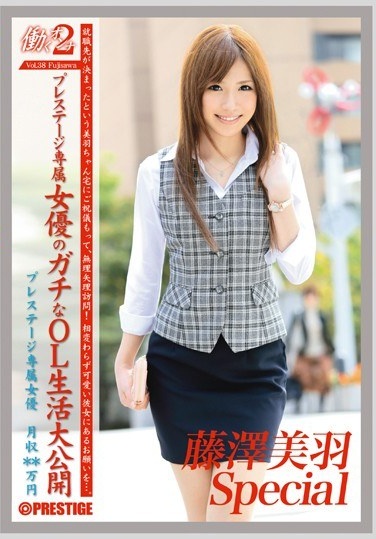 Woman Working 2 VOL.38 - Poster