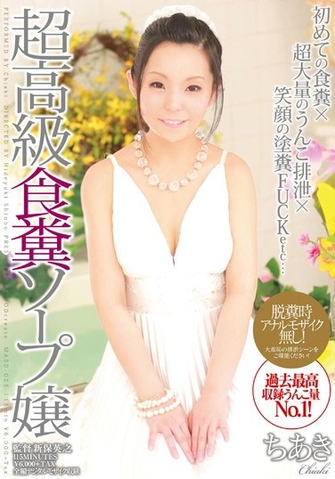 Chiaki coprophagy super premium Soap Lady - Poster