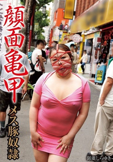 顔面亀甲メス豚奴隷 - Poster