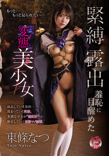 Natsu Tojo, A Perverted Beautiful Girl Who Awakens To Bondage Exposure Shame - Poster