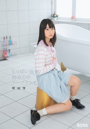 Chippai Awahime.For The First Time Of Soapland. Kinwashizuku - Poster