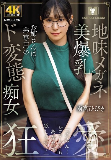 The Plain-looking, Bespectacled, Big-breasted Older Sister Is A Perverted Nymphomaniac Exclusively For Her Younger Brother: Hibiki Amamiya - Poster