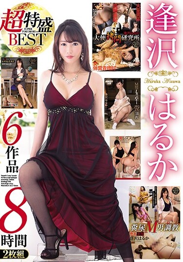 Haruka Aizawa Super Special BEST 6 Works 8 Hours 2 Discs - Poster