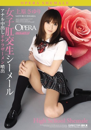 Sayuri Uehara Raw Shemale Girls Anal Intercourse - Poster