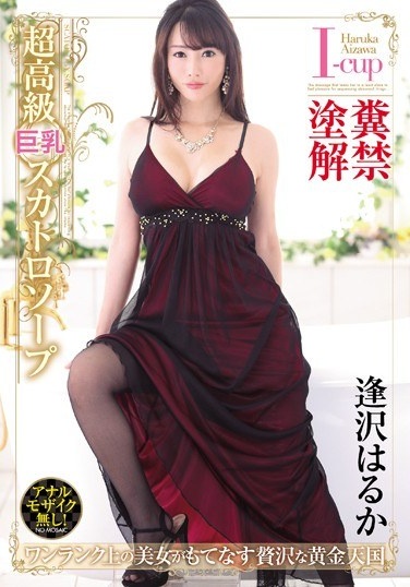 Super Luxury Big Tits Scatology Soap Haruka Aizawa - Poster