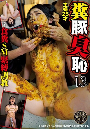 Feces Pig Smell Shame 13 ~ Feces SM Bondage Torture ~ - Poster
