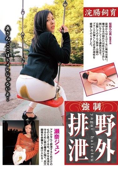 Jun Sena Forced Breeding Outdoors Enema Excretion - Poster