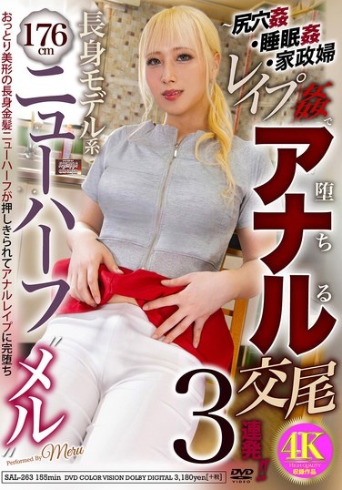 176cm長身モデル系ニューハーフ‘メル’～尻穴姦・睡眠姦・家政婦レ●プ姦で堕ちるアナル交尾3連発！！ - Poster
