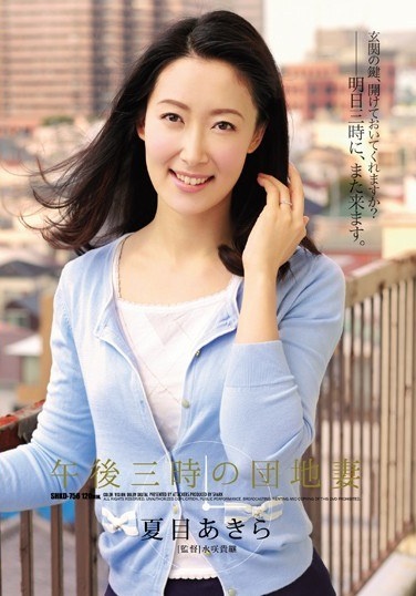 House Wife Natsume Akira At 3 PM - Poster