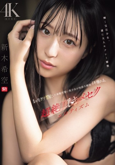 A Cute And Beautiful Girl Who Has Been Abstaining For A Month Releases Her Sexual Desire And Breaks Down, In This Ultra-climaxing Erotic Drama Featuring Nozomi Araki - Poster