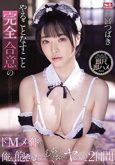 Tsubaki Sannomiya For 2 Days Messed Up Until I Got Tired Of De M Maid Who Completely Agreed To Do What To Do - Poster