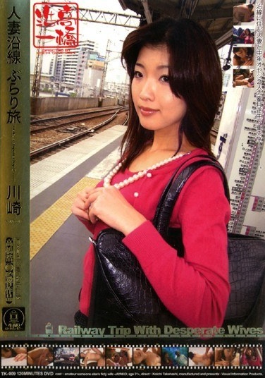 Kawasaki Journey Along Burari Married - Poster