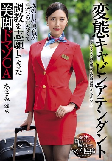 Perverted Cabin Attendant: Beautiful Legged Masochist Cabin Attendant Asami Mizubata Can't Forget The Excitement Of That Day And Volunteered For Training - Poster